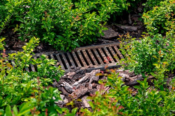 Underground Drainage Service in Meridian