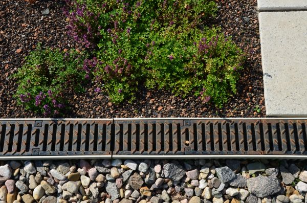 Water Drainage Service in Meridian