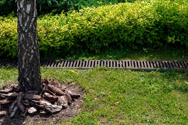 Cost of Yard Water Redirection in Meridian