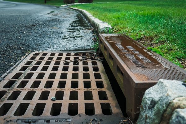 Cost of Storm Drain Repair in Meridian