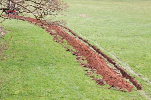 Cost of Swale Installation in Meridian