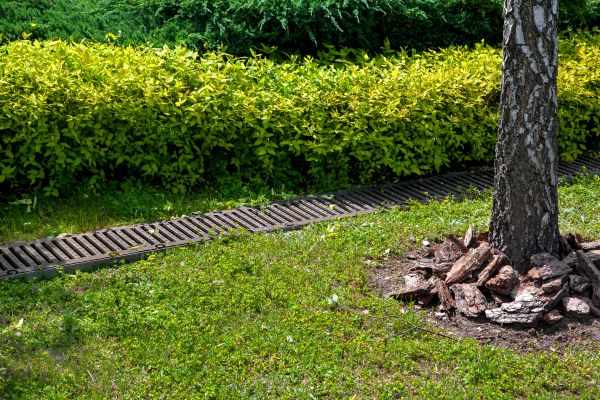 Residential Landscape Drainage in Meridian
