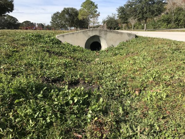 Cost of Swale Drainage Service in Meridian
