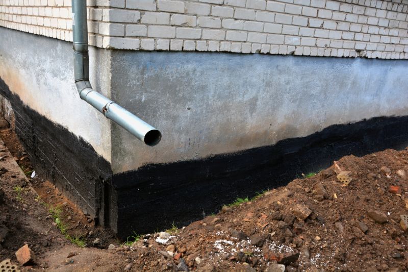 Early Signs of Drainage Problems