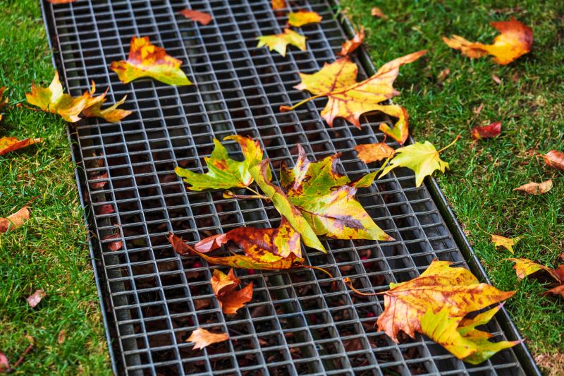 Yard Drain Unclogging